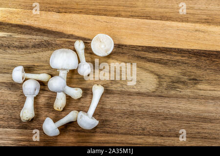Un gruppo di funghi bianco isolato su sfondo di legno. Foto Stock