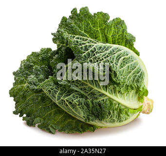 Cavolo verza percorso isolato su bianco Foto Stock