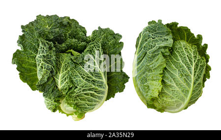 Cavolo verza percorso isolato su bianco Foto Stock