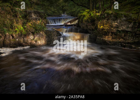 Correndo acqua a cascate Horseshoe Foto Stock