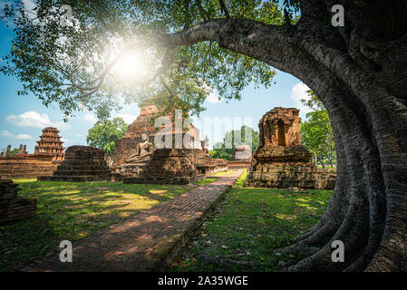 Antica statua del Buddha al Wat Mahathat tempio di Sukhothai Historical Park, Thailandia. Foto Stock