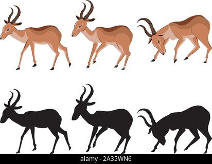 Illustrazione di carino antilopi, cartoon animale su sfondo bianco. Illustrazione Vettoriale