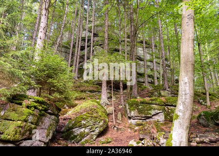 Le rocce enormi in una foresta di Montagna Gigante vicino a Szklarska Poreba, Polonia Foto Stock