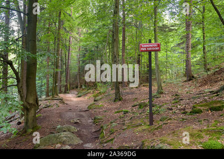 Sentiero di montagna in un bosco vicino a Szklarska Poreba in Monti dei Giganti, Polonia Foto Stock