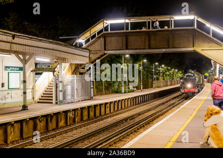 Green British Treno a Vapore Surrey autunno Foto Stock