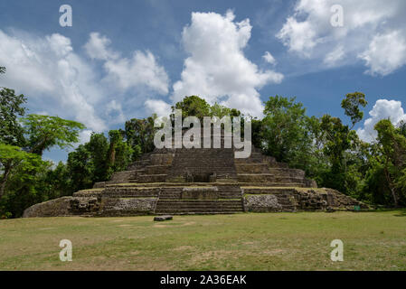 Jaguar Tempio a Lamanai Riserva archeologica, Orange Walk, Belize, America centrale. Foto Stock