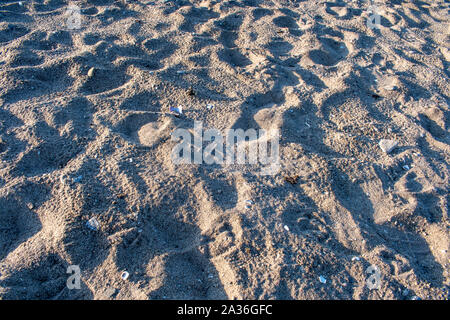 Sfondo di sabbia e pietre e conchiglie sulla spiaggia Foto Stock