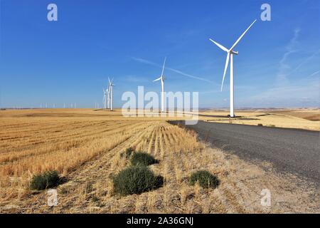 Le turbine eoliche nel lontano Sud-est dello stato di Washington negli USA, nel Palouse colline dove il frumento è uno dei principali prodotti di aziende agricole Foto Stock