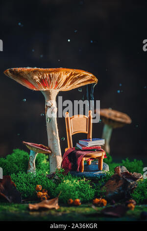 Piccola sedia con plaid e una pila di libri sotto un gigantesco fungo con MOSS e gocce di pioggia. Foresta magica scena con copia spazio. Foto Stock