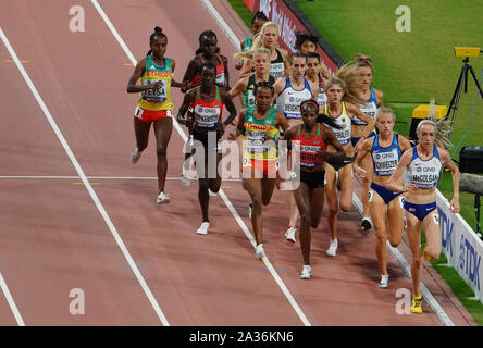Doha in Qatar. 5 Ottobre, 2019. Gli atleti competere durante la donna 5000m finale al 2019 IAAF mondiale di atletica a Doha, in Qatar, il 5 ottobre 2019. Credito: Wang Jingqiang/Xinhua/Alamy Live News Foto Stock
