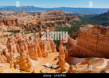 Vista aerea con hoodoos lungo il Navajo loop trail nel Parco Nazionale di Bryce Canyon, Utah, Stati Uniti d'America, Stati Uniti d'America Foto Stock