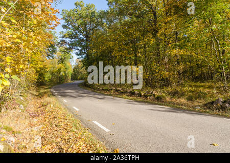 Avvolgimento soleggiato country road nella bella stagione autunnale di colori Foto Stock