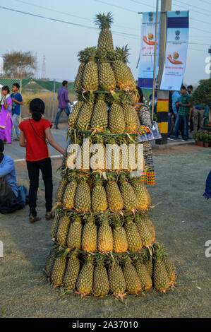 La torre di ananas che è in piedi sul campo. Foto Stock