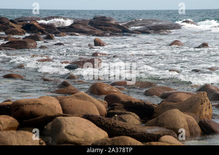 Kangaroo Island in Australia, levigato massi arrotondati da acqua a Stokes Bay a bassa marea Foto Stock