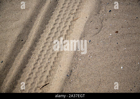 LA spiaggia Foto Stock