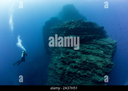 Vita pelagica di Socorro Islands Foto Stock