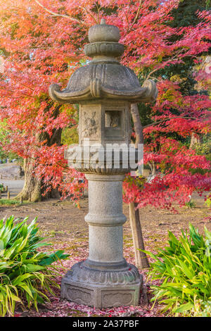 Pietra lanterna Kasuga sotto un acero rosso momiji nel giardino di Rikugien a Tokyo in autunno. Foto Stock