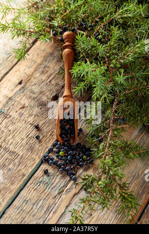Il cucchiaio di legno con semi di ginepro. Ramo di ginepro con frutti di bosco su un sfondo di legno. Foto Stock