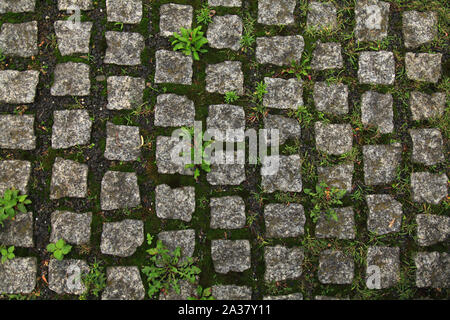 I blocchi di pavimentazione fatta di pietre antiche. Pavimentazione in pietra texture con l'erba tra i sassi Foto Stock