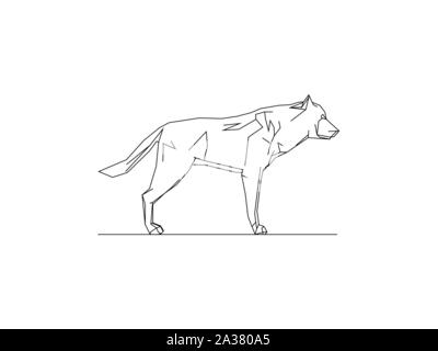 Illustrazione vettoriale di un lupo isolato su sfondo bianco Illustrazione Vettoriale