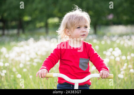Piccolo bambino su una bicicletta su un prato verde. Bimbo di 2 anni su un triciclo. Kid a giocare sul campo con il tarassaco Foto Stock