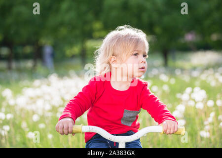 Piccolo bambino su una bicicletta su un prato verde. Bimbo di 2 anni su un triciclo. Kid a giocare sul campo con il tarassaco Foto Stock