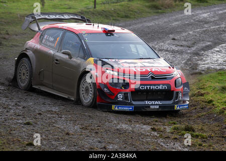 Brenig, Conwy, Regno Unito. 6 Ottobre, 2019. WRC Rally Galles GB, fase 19; Citroen Total WRT Sebastien Ogier e co-driver Julien Ingrassia nel loro Citroen C3 WRC - Editoriale usare carte di credito: Azione Plus sport/Alamy Live News Foto Stock