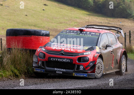 Brenig, Conwy, Regno Unito. 6 Ottobre, 2019. WRC Rally Galles GB, fase 19; Citroen Total WRT conducente Esapekka Lappi e co-driver Janne Ferm a loro Citroen C3 WRC - Editoriale usare carte di credito: Azione Plus sport/Alamy Live News Foto Stock