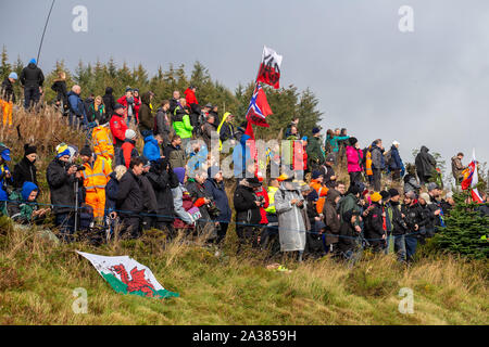 Brenig, Conwy, Regno Unito. 6 Ottobre, 2019. WRC Rally Galles GB, fase 19; il rally fan sono stati in vigore per il giorno finale - Editoriale usare carte di credito: Azione Plus sport/Alamy Live News Foto Stock