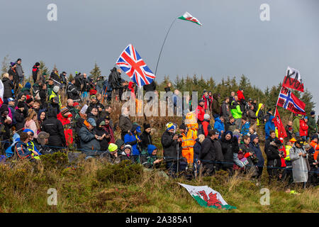 Brenig, Conwy, Regno Unito. 6 Ottobre, 2019. WRC Rally Galles GB, fase 19; il rally fan sono stati in vigore per il giorno finale - Editoriale usare carte di credito: Azione Plus sport/Alamy Live News Foto Stock