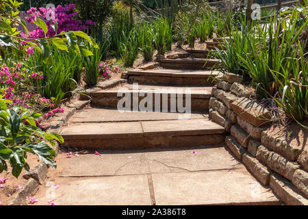 Una vista ravvicinata del calcestruzzo scale che portano fino a un altro livello in un giardino aperto Foto Stock
