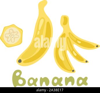 Vettore brillante serie di grappoli di banane fresche. Sweet cartoon singola banana pelata e il mazzetto di banane isolati su sfondo bianco. Illustrazione Vettoriale