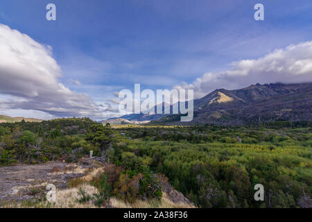 Vista panoramica di una donna stare accanto a un cileno cedro contro la foresta valle e montagne delle Ande a Los Alerces National Park, Patagonia Foto Stock