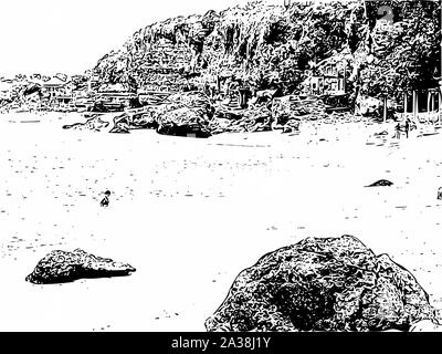 Abilmente e ornati in immagine di un bellissimo paesaggio nei colori bianco e nero ottica Foto Stock