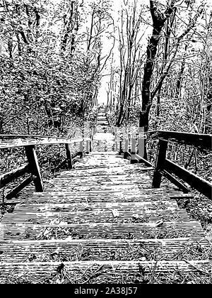 Abilmente e ornati in immagine di un bellissimo paesaggio nei colori bianco e nero ottica Foto Stock