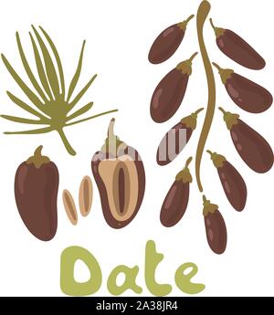 Estate frutti tropicali per uno stile di vita sano. Il ramo di date. Illustrazione Vettoriale cartoon icona piatto isolato su bianco Illustrazione Vettoriale