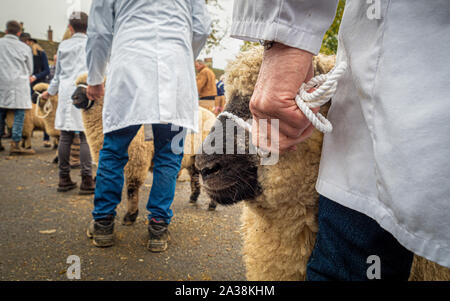I concorrenti a Masham pecore Fair Foto Stock