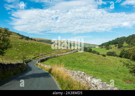 Country Road cercando Langstrothdale nel Yorkshire Dales National Park in un giorno d'estate, REGNO UNITO Foto Stock