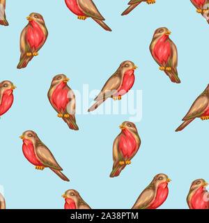Modello senza cuciture con bullfinch uccelli. Illustrazione Vettoriale