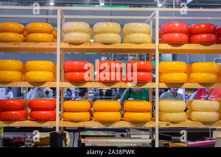 Gran numero di formaggi a un formaggio Olandese shop, Rotterdam, Paesi Bassi Foto Stock