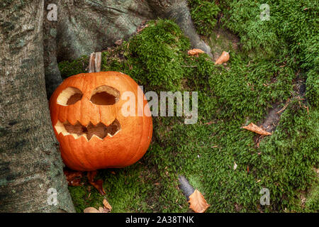Zucca di Halloween con spaventoso faccia di esclusione Foto Stock