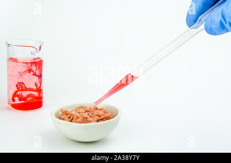 Carne su uno sfondo bianco. Gli esperimenti di chimica, la produzione artificiale Foto Stock