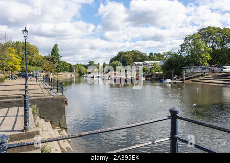 Il fiume Tamigi Embankment e anguilla isola a torta, Twickenham, Borough di Richmond upon Thames, Greater London, England, Regno Unito Foto Stock