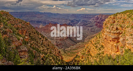 Grand Canyon dal punto Navajo, South Rim, Arizona, Stati Uniti Foto Stock