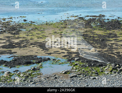 Rete da pesca a bassa marea Foto Stock