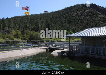 Stagni per la quasi completamente cresciuti trota arcobaleno presso il Red River State allevamento di trote, Nuovo Messico. Foto Stock