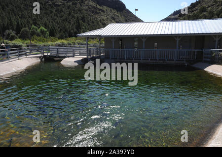 Stagni per la quasi completamente cresciuti trota arcobaleno presso il Red River State allevamento di trote, Nuovo Messico. Foto Stock