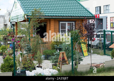 Un campione di esposizione di una casa con giardino in vendita in estate i giardinieri di mercato. La Russia 2018 Foto Stock