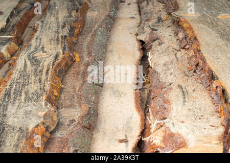 Tavole in legno per pavimenti e pareti sono venduti nel bazar per materiali da costruzione. La Russia. Foto Stock