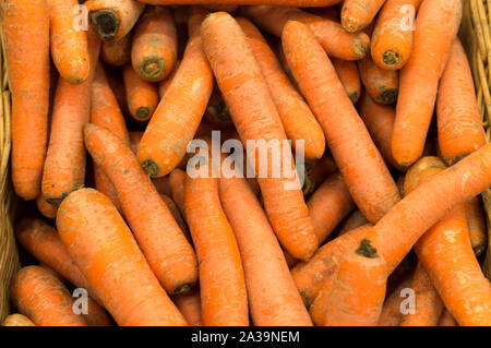 Rosso, lavate le carote giacciono sulla vetrina di vendita. Close-up Foto Stock